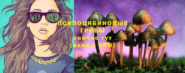 меф Алексин